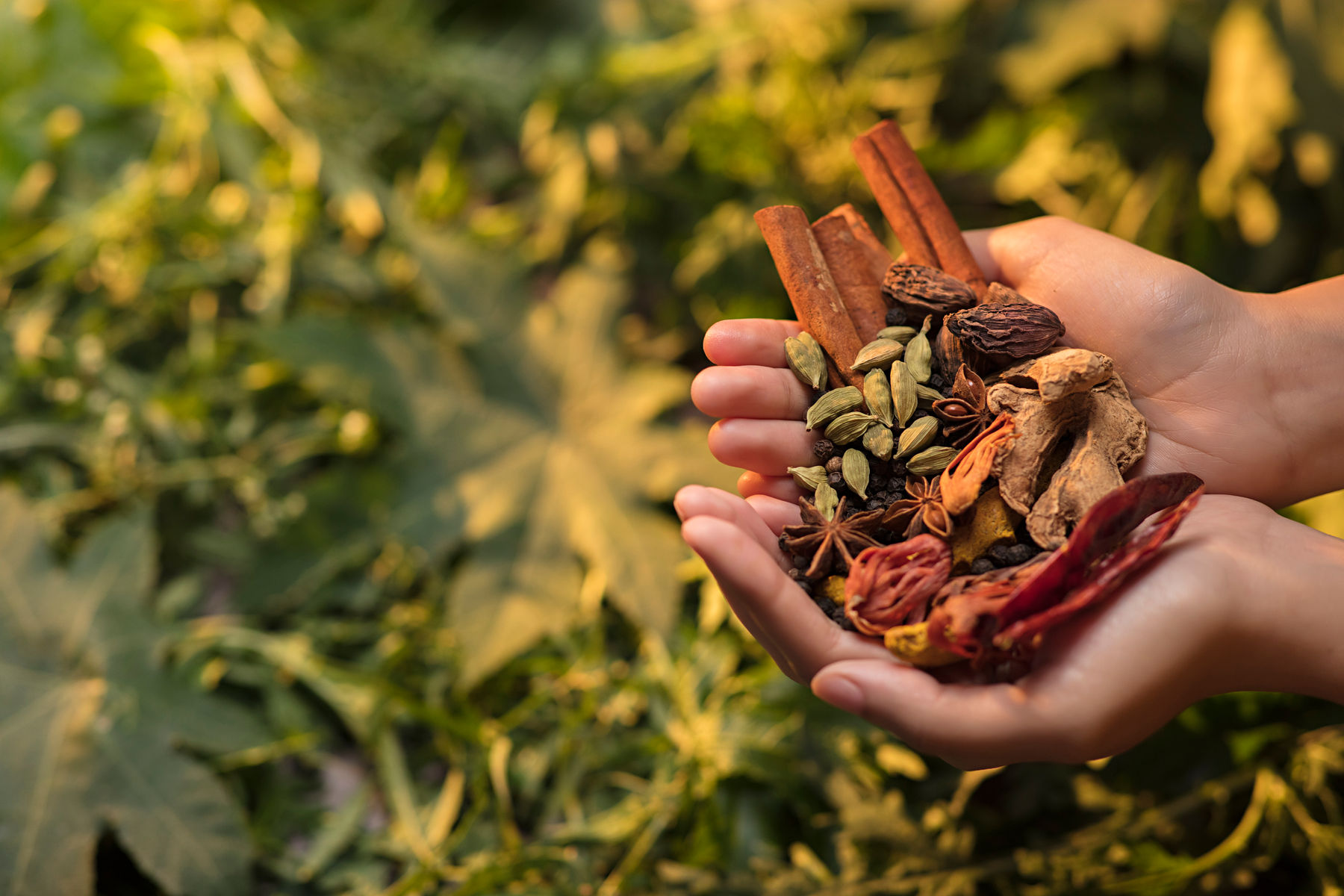 spices166 (1)